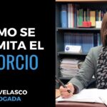 Como Hacer Divorcio Express Sin Abogado