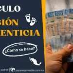 ¿Cómo Se Calcula La Pensión Alimenticia?